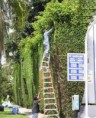 /album/acidentes-no-trabalho/escada-magiro-jpg/